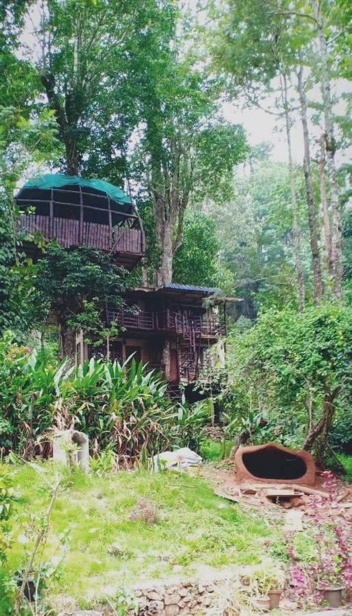 Jungle Jive Tree House Munnar Bed and Breakfast Exterior foto